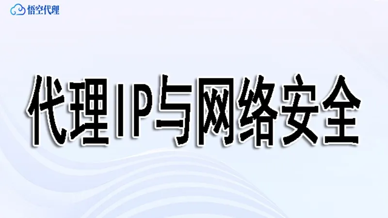 代理IP与网络安全：如何防止IP泄露和保障匿名性